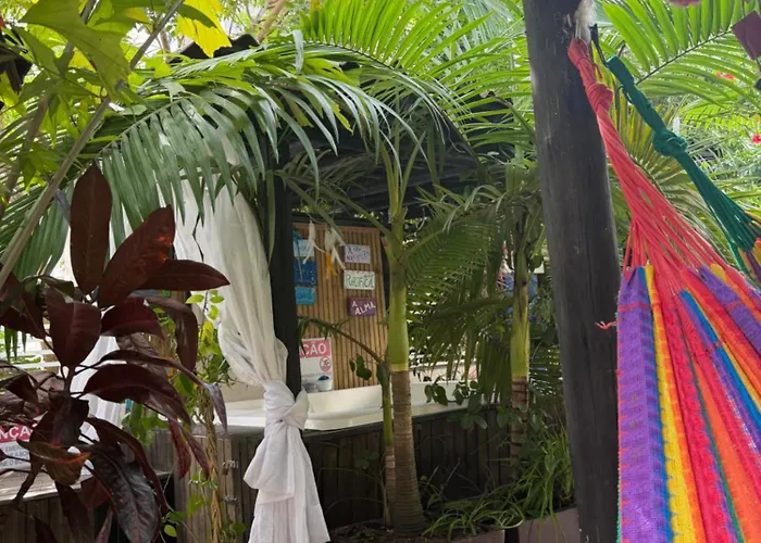 Pousada Floresta